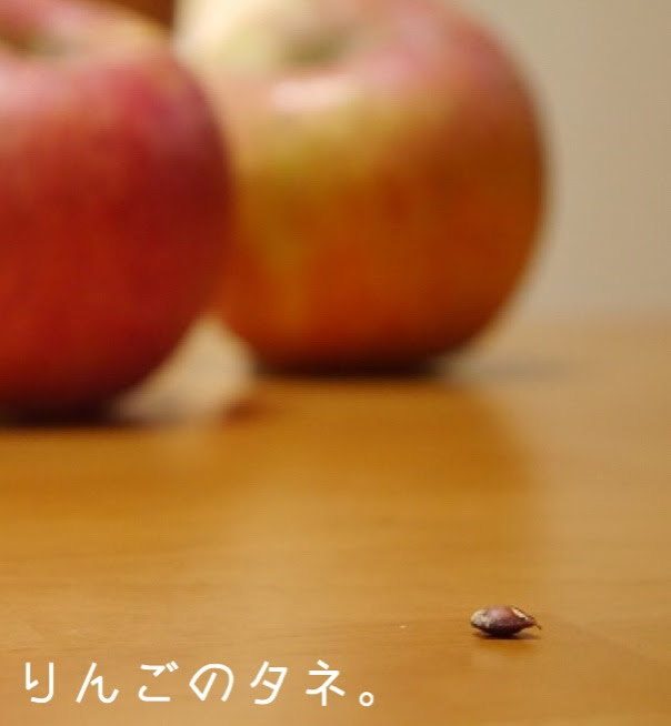 RINNGO